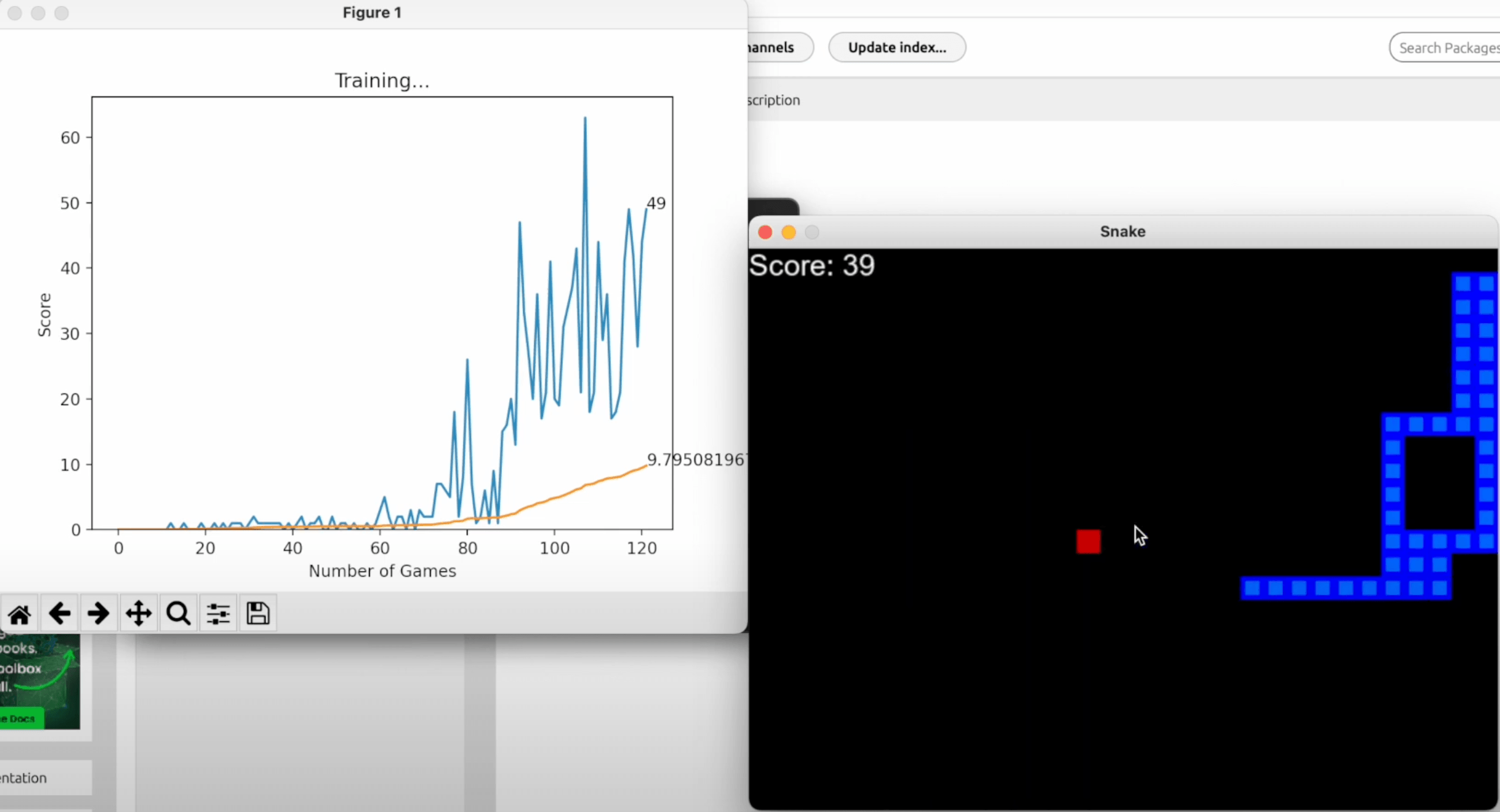 Project I worked on: Reinforcement Snake